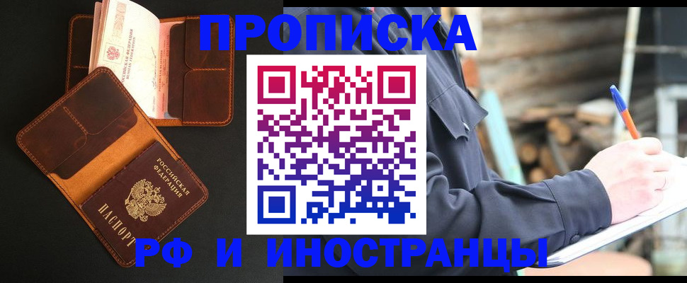 прописка 2025 в Химках